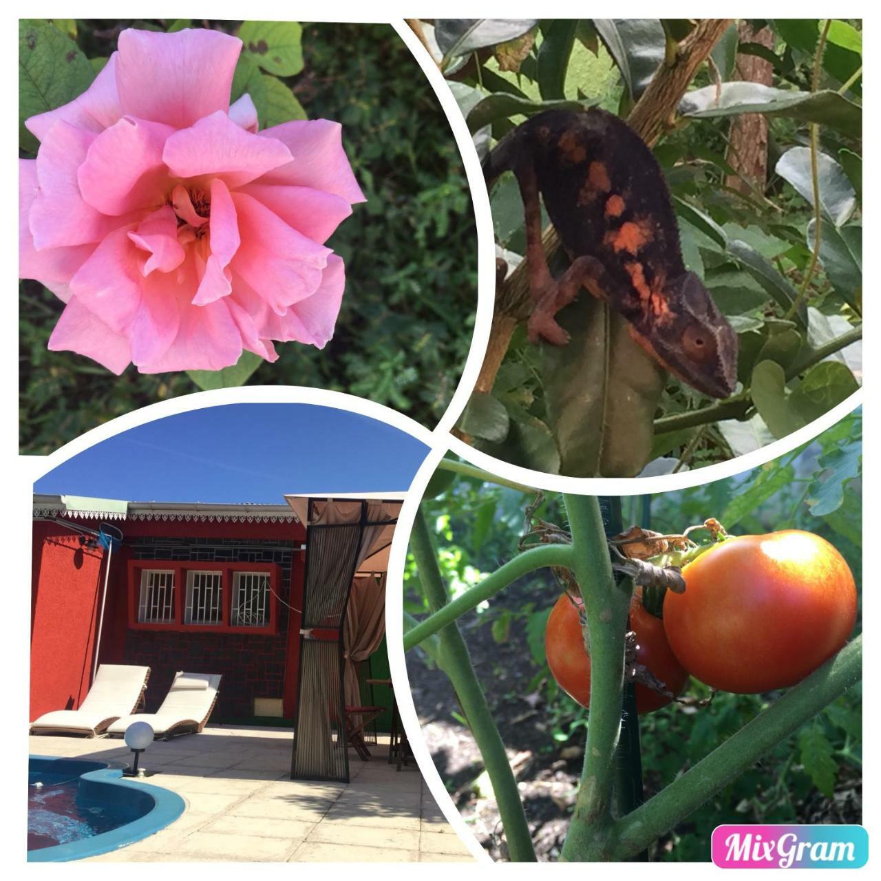 Vyvyrun974 Apartment Les Cocos ภายนอก รูปภาพ