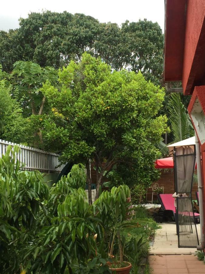 Vyvyrun974 Apartment Les Cocos ภายนอก รูปภาพ